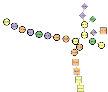 Figure 1: Example of lineage coalescence